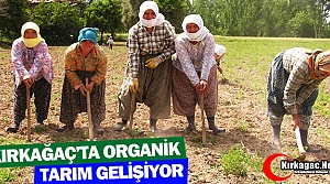 KIRKAĞAÇ'TA ORGANİK TARIM GELİŞİYOR