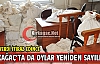 KIRKAĞAÇ'TA OYLAR TEKRAR SAYILMAYA BAŞLANDI