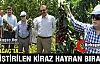 KIRKAĞAÇ’TA ÜRETİLEN KİRAZ HAYRAN BIRAKTI