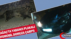 KIRKAĞAÇ’TA YABANCI PLAKALI OTOMOBİL DOMUZA ÇARPTI