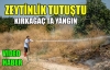 KIRKAĞAÇ'TA YANGIN(VİDEO)