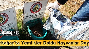 KIRKAĞAÇ’TA YEMLİKLER DOLDU HAYVANLAR DOYDU