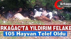 KIRKAĞAÇ’TA YILDIRIM FELAKETİ