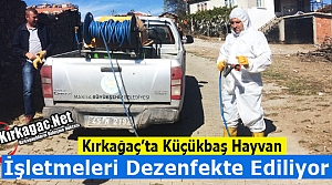 KÜÇÜKBAŞ HAYVAN İŞLETMELERİ DEZENFEKTE EDİLİYOR