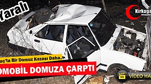 OTOMOBİL DOMUZA ÇARPTI 3 YARALI(VİDEO)