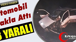 OTOMOBİL TAKLA ATTI 3 YARALI(VİDEO)