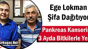 PANKREAS KANSERİNİ BİTKİLERLE YENDİ