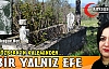 PELİN ÖZBERK “BİR YALNIZ EFE“