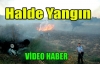 SEBZE HALİNDE YANGIN(VİDEO)