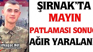 ŞIRNAK'TA MAYIN PATLAMASI SONUCU YARALANDI