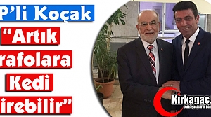 SP’Lİ KOÇAK “ARTIK TRAFOLARA KEDİ GİREBİLİR”