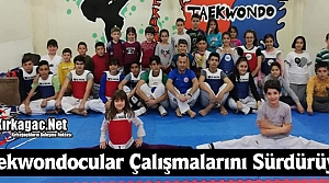 TAEKVONDOCULAR ÇALIŞMALARINI SÜRDÜRÜYORLAR