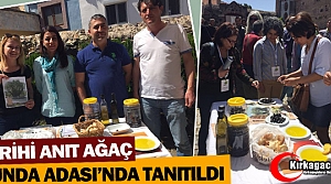 “TARİHİ ANIT AĞAÇ“ SLOW OLİVE’DE TANITILDI