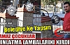  YARAMAZ ÇOCUKLAR LAMBALARI KIRDILAR