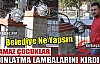  YARAMAZ ÇOCUKLAR LAMBALARI KIRDILAR