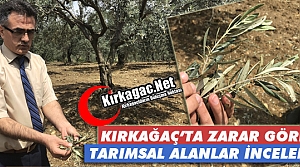 ZARAR GÖREN TARIMSAL ALANLAR İNCELENDİ 