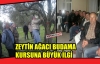 ZEYTİN AĞACI BUDAMA KURSUNA BÜYÜK İLGİ