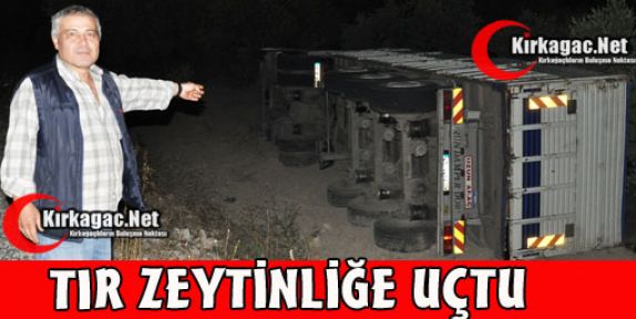 TIR ZEYTİNLİĞE UÇTU