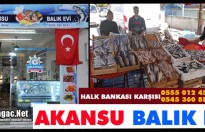 AKANSU BALIK EVİ(KIRKAĞAÇ)(DERYA-MEHMET AKANSU)