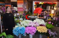 TURKUAZ ÇİÇEKÇİLİK'TEN BUGÜNE ÖZEL MUHTEŞEM KAMPANYA