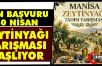 ZEYTİNYAĞI YARIŞMASI BAŞLIYOR