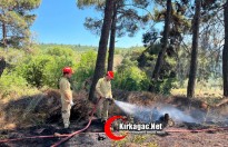 KIRKAĞAÇ’TA ORMAN YANGINI