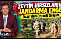 KIRKAĞAÇ'TA ZEYTİN HIRSIZLIĞINA JANDARMA ENGELİ