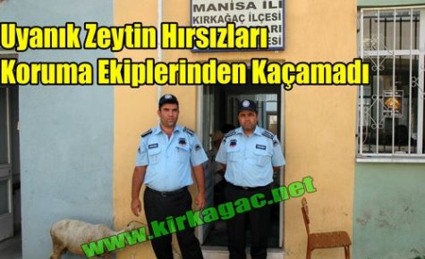 Uyanık Hırsızlar Koruma Ekiplerinden Kaçamadı