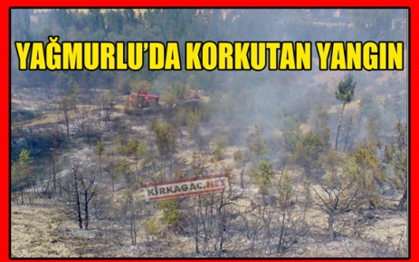 YAĞMURLU'DA KORKUTAN YANGIN