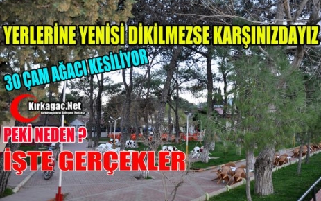 YERİNE AĞAÇ DİKMEZSENİZ KARŞINIZDAYIZ