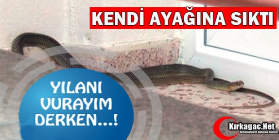 YILANI VURMAK İSTERKEN KENDİNİ VURDU