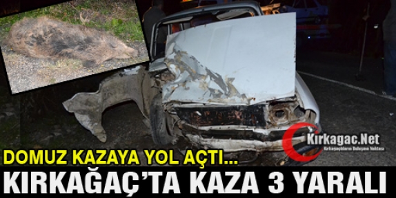 YOLA FIRLAYAN DOMUZ KIRKAĞAÇ’TA KAZAYA YOL AÇTI 3 YARALI