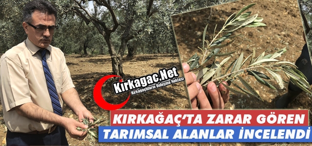 ZARAR GÖREN TARIMSAL ALANLAR İNCELENDİ 