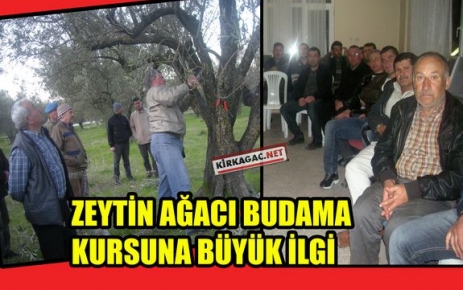 ZEYTİN AĞACI BUDAMA KURSUNA BÜYÜK İLGİ