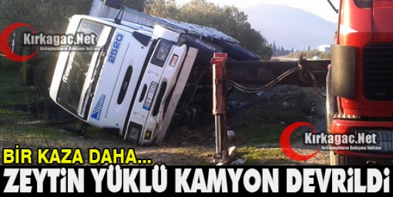 ZEYTİN YÜKLÜ KAMYON DEVRİLDİ