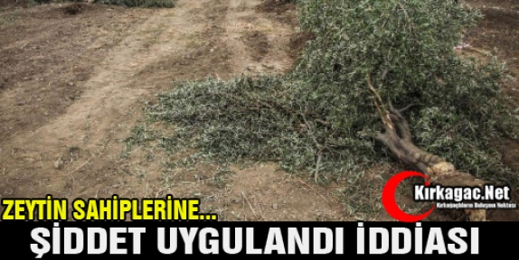 ZEYTİNLİĞİ KORUYAN KÖYLÜLERE ŞİDDET Mİ UYGULANDI